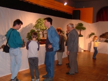 2004 Bonsai kiállítás